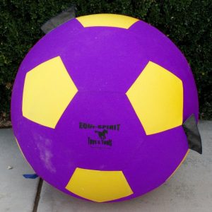EquiSpirit 25” Ultimate Cordura Ball Purple/Yellow (Grab & Toss)