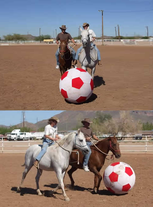 Horse Soccer EquiSpirit Balls Tough Toys for Tough Play