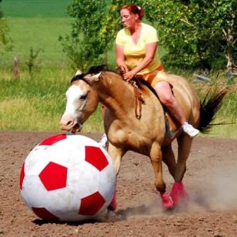 soccer-2-baily_orig