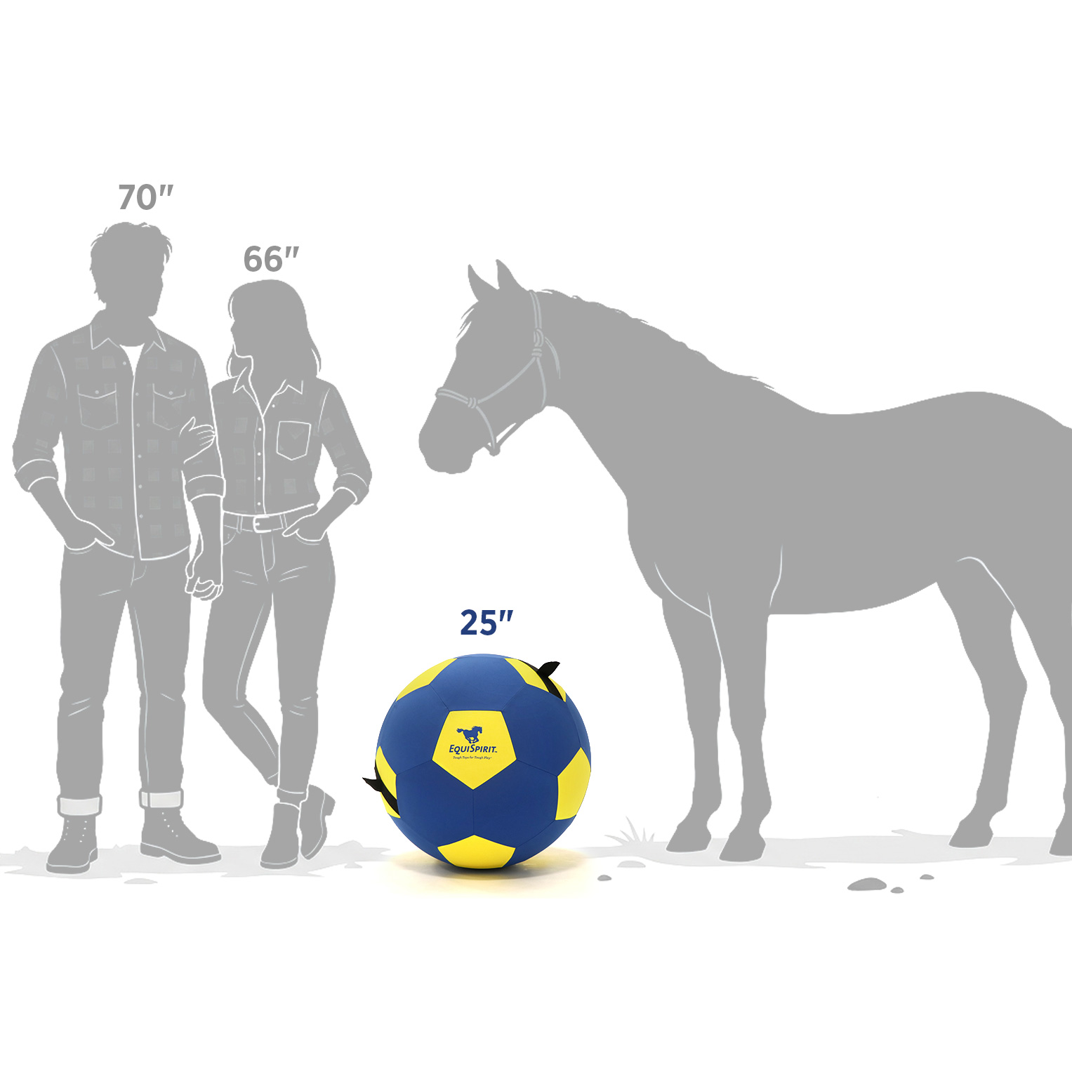 EquiSpirit 25" Ball Size Comparison