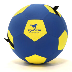Equispirit 40" Grab and Toss Blue Yellow