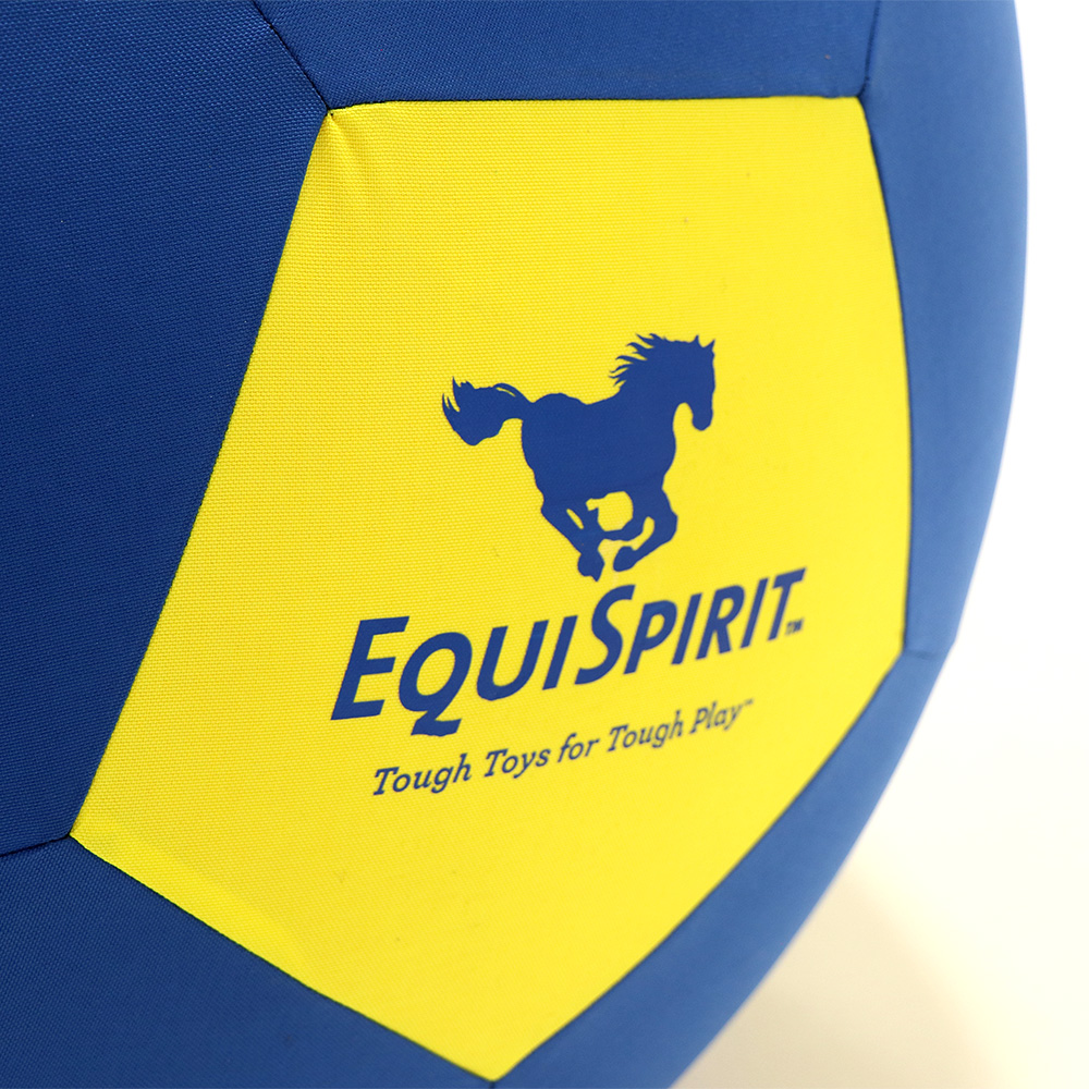 Equispirit 40" Grab and Toss Blue Yellow